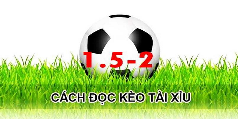 Cách chơi kèo tài xỉu 1.75 như thế nào?