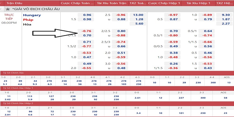 Trận đấu có cung cấp kèo Euro