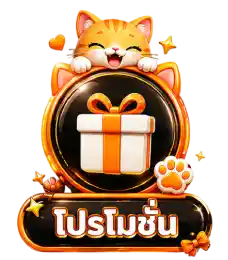 โปรโมชั่น11